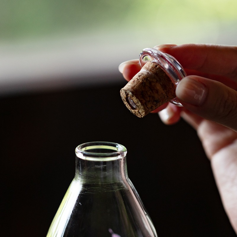 High Borosilicate Glass Bottle - Cold Brew Bottle 评论和价格