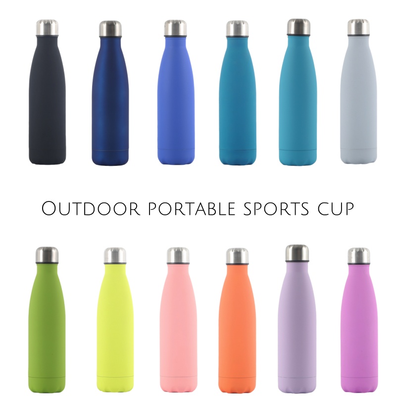 Double Wall Stainles Steel Wat - Cold Brew Bottle 评论和价格
