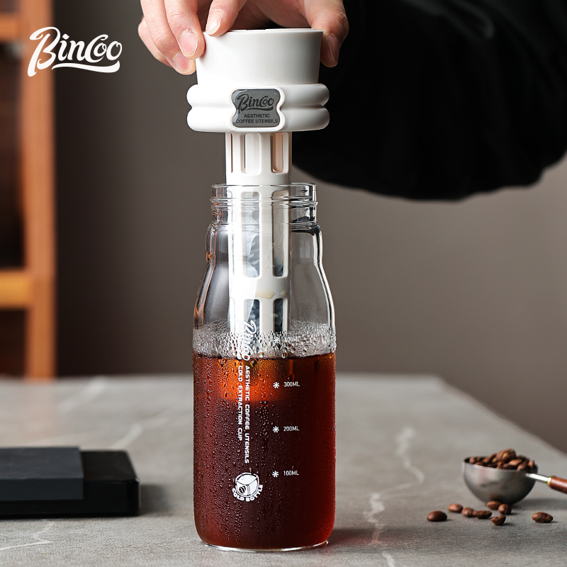 Bincoo 600ML Summer Cold Brew  - Cold Brew Bottle 评论和价格