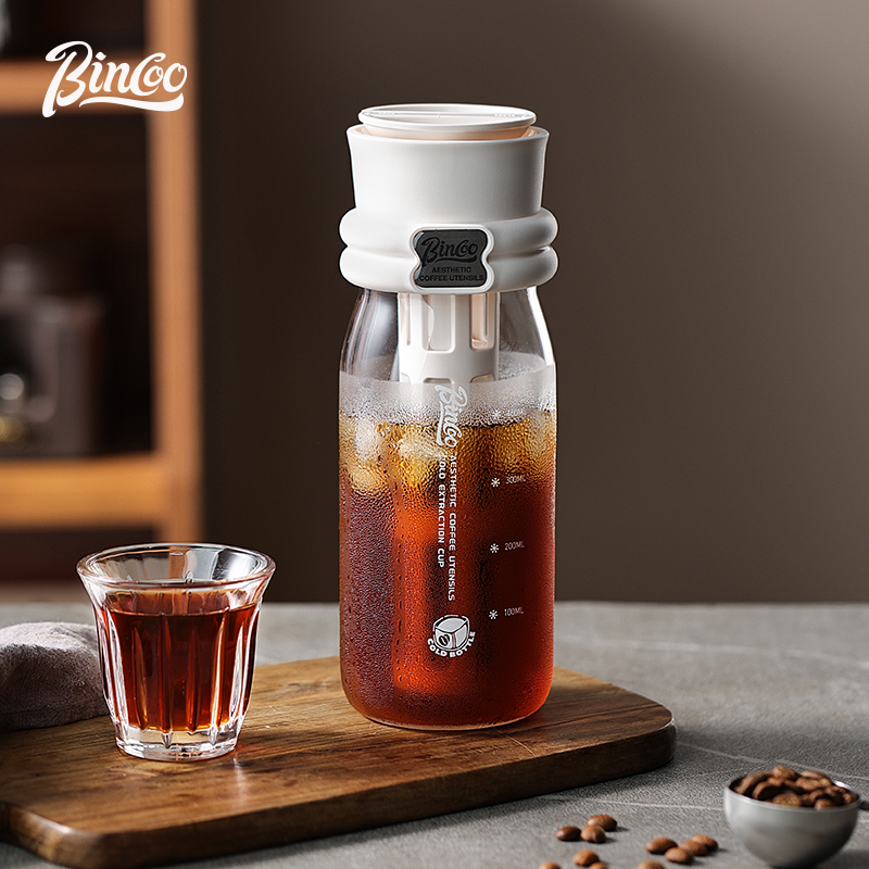 Bincoo 600ML Summer Cold Brew  - Cold Brew Bottle 评论和价格